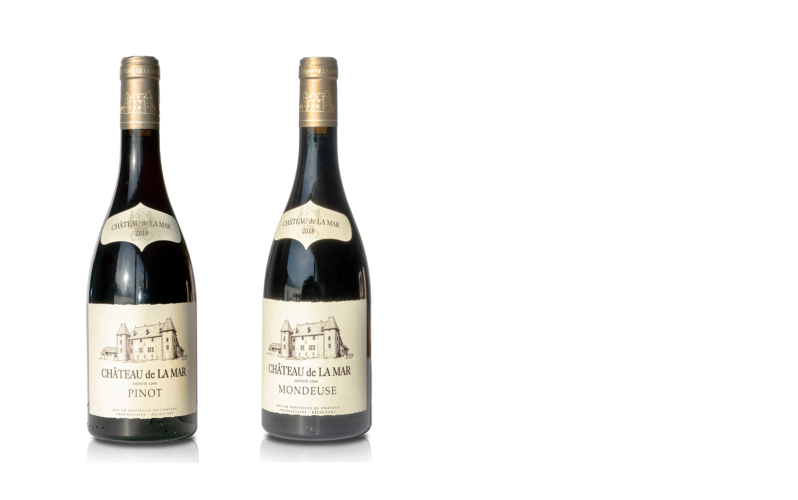 Pinot et Mondeuse de Savoie Vins Rouges Du Chateau de La Mar